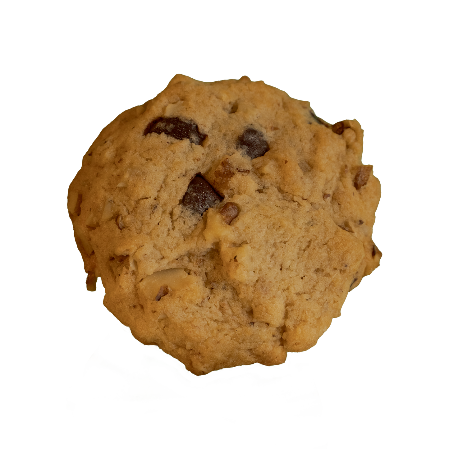 ALV NYC vegan sugar-free chocolate chip walnut cookie with pockets of dark chocolate