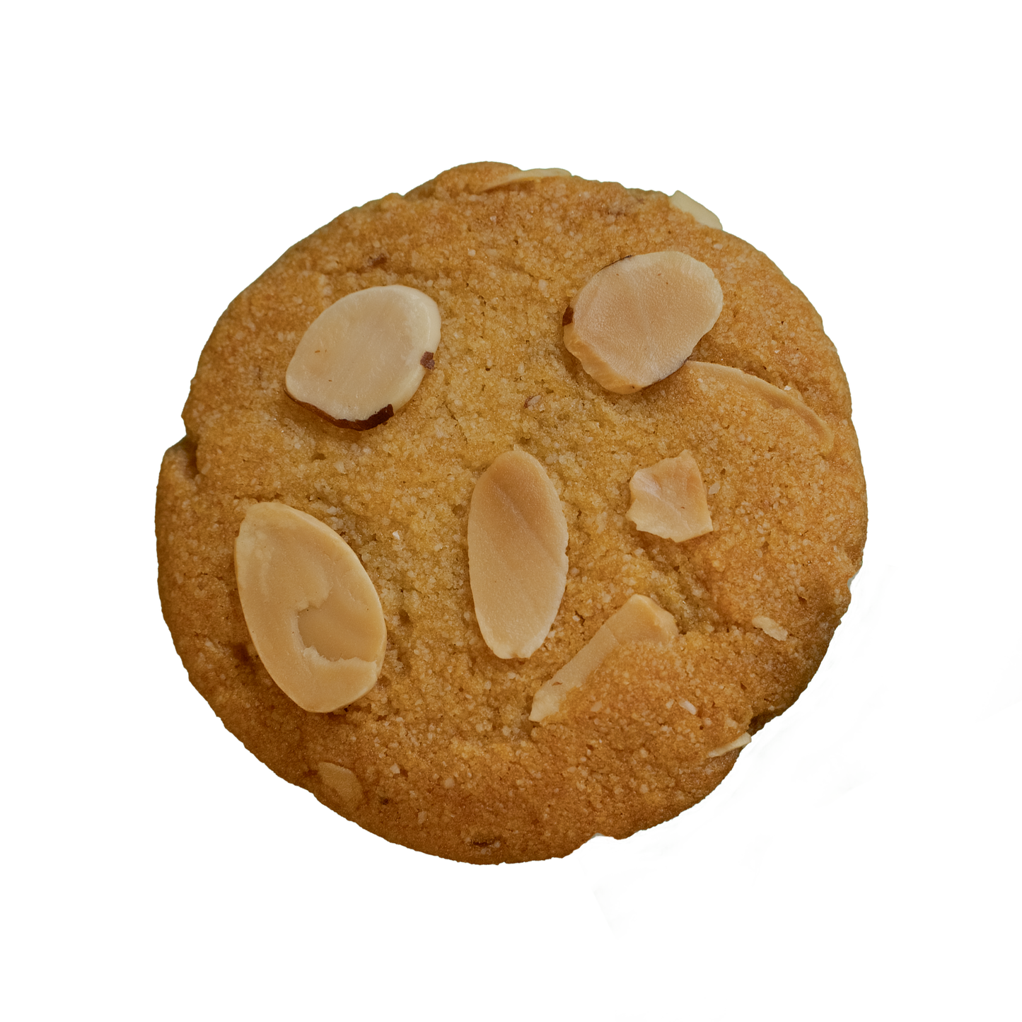 ALV NYC vegan sugar-free almond cookie with toasted almond slices on top