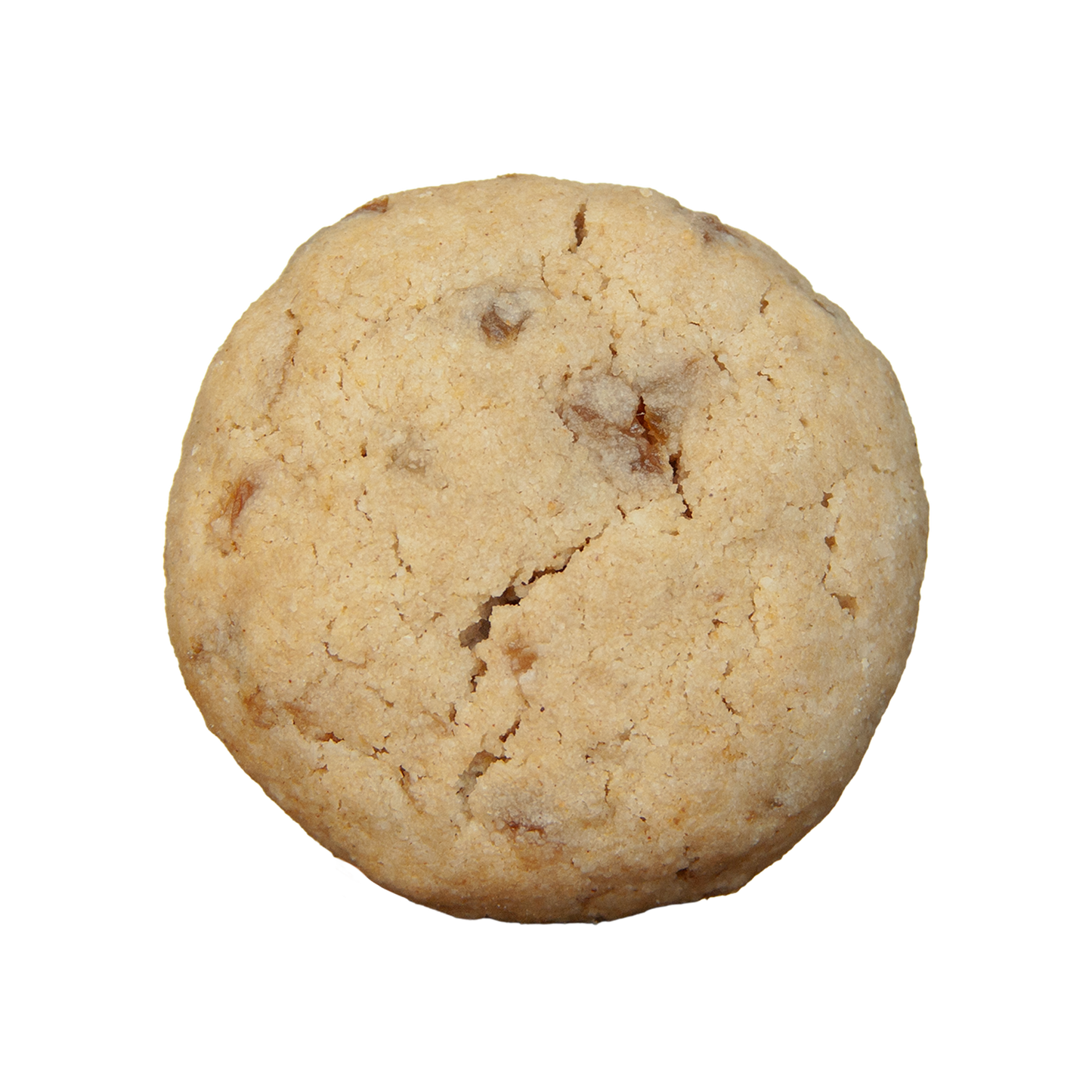 ALV NYC vegan sugar-free oatmeal cookie with golden raisins and warm cinnamon